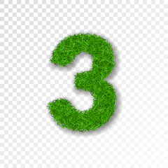 Grass number three. Green number three isolated on white transparent background. Green grass 3, fresh symbol of nature, plant lawn, summer. Grass texture spring font. Eco design. Vector illustration