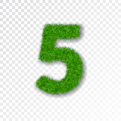 Grass number five. Green number five, isolated on white transparent background. Green grass 5, fresh symbol of nature, plant lawn, summer. Grass texture font. Beautiful eco design. Vector illustration