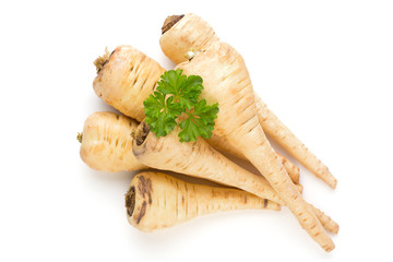 Parsnip isolated on the white background.