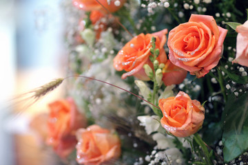 bunch of orange roses