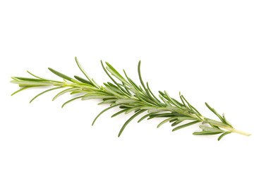 Rosemary spice on the white background.