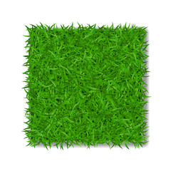 Grass square 3D. Beautiful green grassy field, isolated on white background. Lawn abstract nature texture. Symbol of natural, fresh leaf, meadow plant, spring or summer. Vector illustration