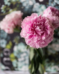 peony, bouquet, floral colourful background