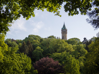 Tower in the Forest