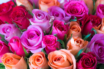 Kleine und zarte rote und rosa Rosen dicht nebeneinander gebunden in einem duftenden und elegantem Rosenstrauss