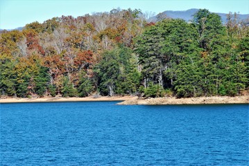 pond in the outdoors