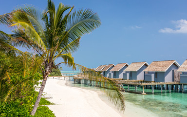 Fototapeta premium Unique beauty of blue lagoon in Maldives