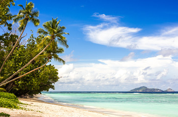 Fototapeta na wymiar Idyllic scenery of sandy beach in the Seychelles