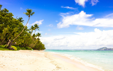 Idyllic scenery of sandy beach in the Seychelles