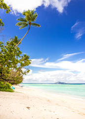 Idyllic scenery of sandy beach in the Seychelles