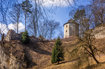 Fototapeta na wymiar Ruins of Ojcow castle in Poland