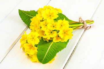 Small bouquet of yellow primrose