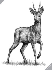 black and white engrave isolated deer vector illustration