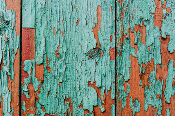Background, texture, paint. Old paint. Peeling paint..Part old green and red wood doors. Cracks.