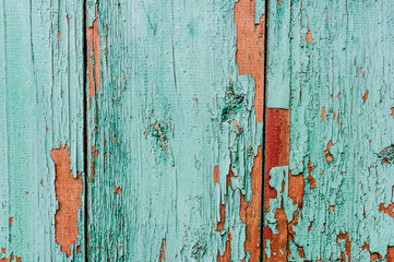 The old cracked paint..Over time, the paint green wood grain, background, colorful, cracks in the paint, vintage, abstract, grunge, texture