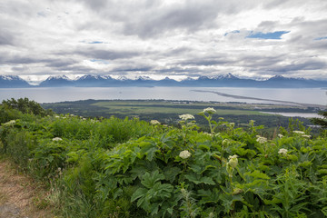Both sides of Kachemak Bay, Homer Alaska