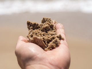 Wet beach sand in a hand 