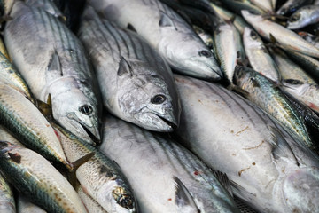Fresh fish photographed on a fish market in Portugal
