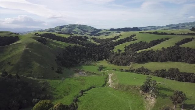 Aerial pan shot, beautiful rolling hills of new zealands martinborough.