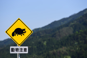山登り