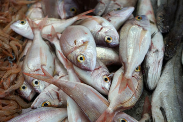 Fresh fish photographed on a fish market in Portugal

