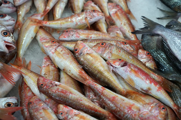 Fresh fish photographed on a fish market in Portugal
