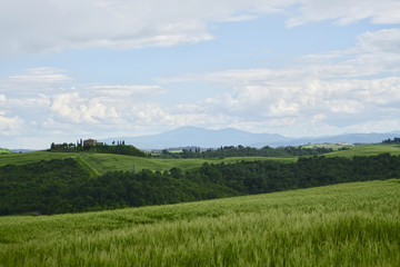 Crete Senesi near Asciano, Siena, Tuscan Italy, Magnificent landscape of the Tuscan countryside 
