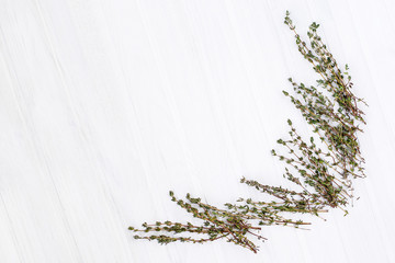 Bunch of fresh thyme on a white background