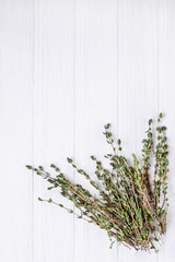 Bunch of fresh thyme on a white background