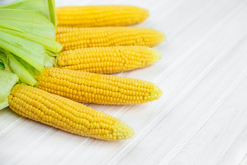 A close-up of corn produced in a rustic garden