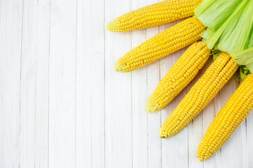 A close-up of corn produced in a rustic garden