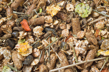  natural sportive  basic muesli  background. for horse.macro