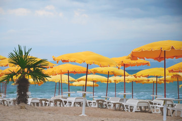 empty beach, palm tree, yellow umbrellas, white chaise lounges..  No season, no tourists, assault warning, cold snap