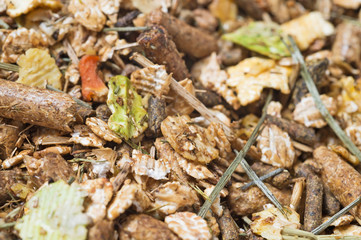  natural sportive  basic muesli  background. for horse.macro