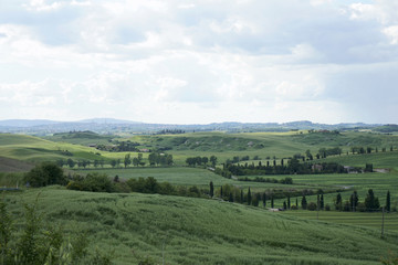 Fototapeta premium Crete Senesi near Asciano, Siena, Tuscan Italy, Magnificent landscape of the Tuscan countryside 