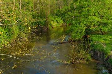 Flowing creek in spring
