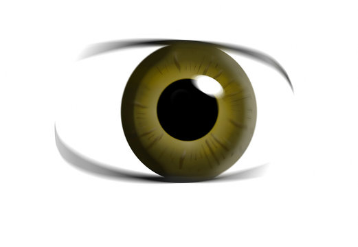 HERE IS A GRAPHIC IMAGE OF AN EYE