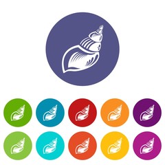 Wild shell icon. Simple illustration of wild shell vector icon for web