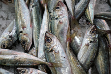 Fresh fish photographed on a fish market in Portugal
