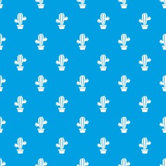 Domestic cactus pattern vector seamless blue repeat for any use