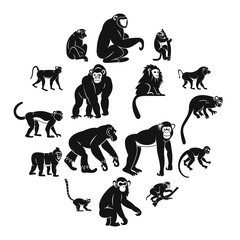 Monkey types icons set. Simple illustration of 16 monkey types vector icons for web © ylivdesign