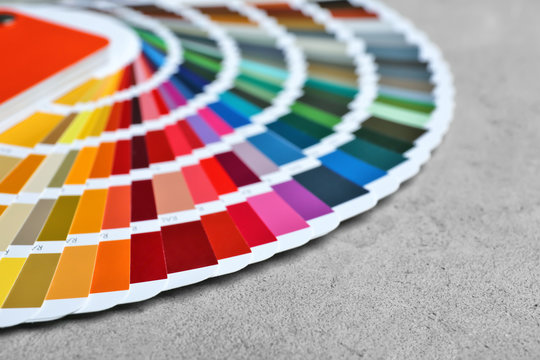 Color palette samples on light background