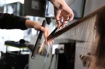 Professional stylist cutting woman's hair in salon, closeup