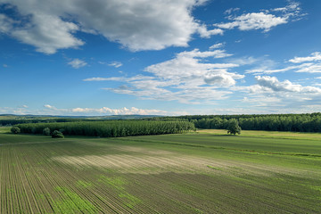 Aerial view of agricultural fields. Countryside, Agricultural Landscape Aerial view.
