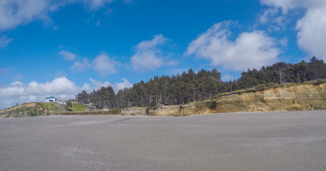 Pacific Beach Waves and FLowers