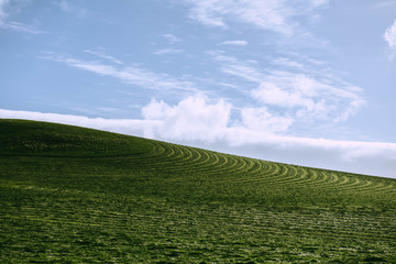 Walking thru New Zealand #6