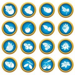 Berries icons set. Simple illustration of 16 berries vector icons for web