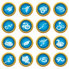 Snake icons set. Simple illustration of 16 snake icons set vector icons for web