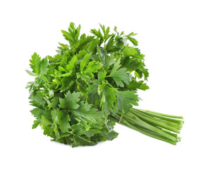 Bunch of fresh green parsley on white background