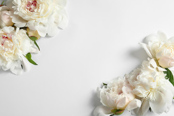 Beautiful blooming peony flowers on white background, top view © New Africa